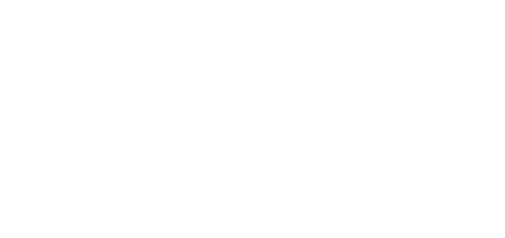 Friedrich logo